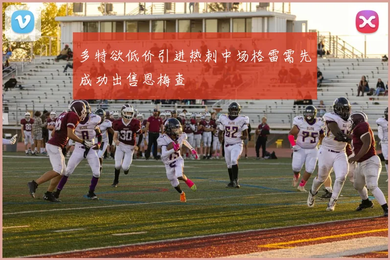 多特欲低价引进热刺中场格雷需先成功出售恩梅查