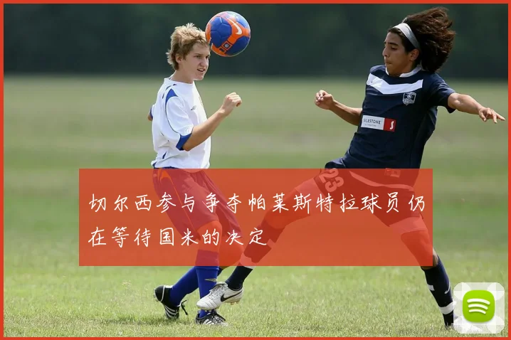 切尔西参与争夺帕莱斯特拉球员仍在等待国米的决定